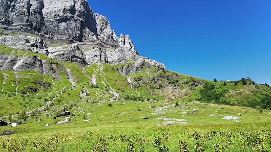 Photo 2 de Plaine Joux