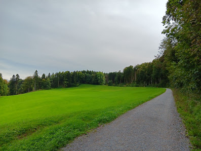 Photo 2 de Albispass