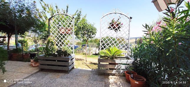 Photo 1 de Montescudo