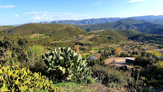 Photo 1 de Alto del Oro