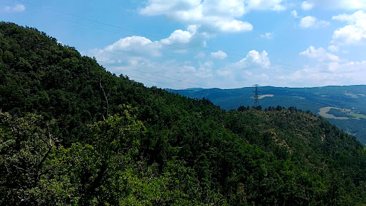 Photo 2 de Monte Bibele
