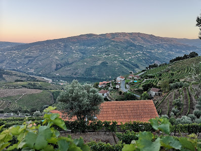 Photo 1 de Vila Marim
