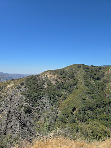 Photo 1 de General Sherman Tree Pass