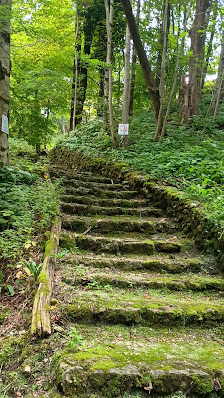 Photo 3 de Staligial