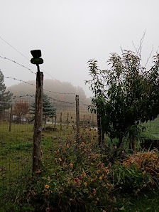 Photo 1 de Tirivolo