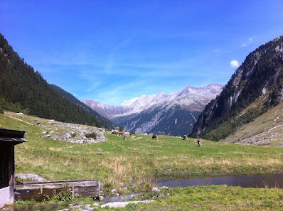 Photo 1 de Brandberg