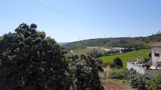 Photo 1 de Arranhó