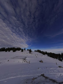 Photo 2 de Bel Coster