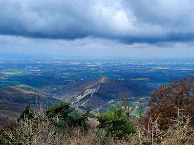 Photo 2 de Col Jérôme Cavalli
