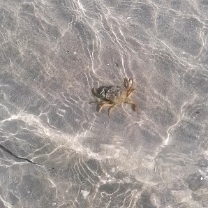 Photo 2 de Srednji Vrh