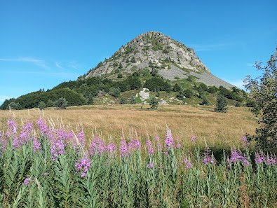 Photo 1 de Col du Gerbier de Jonc