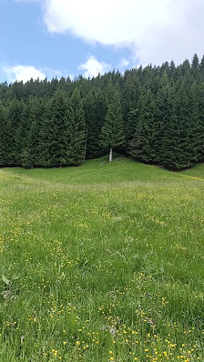 Photo 3 de Sella Cereschiatis