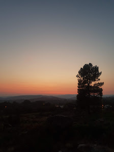 Photo 1 de Pinheiro Novo