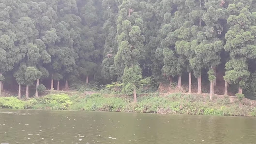 Photo 3 de Miri Lake