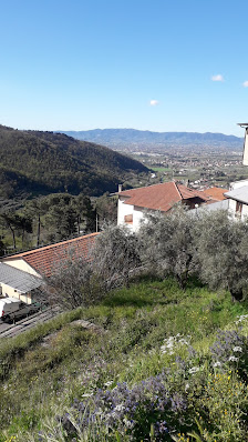 Photo 1 de Tobbiana
