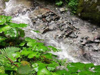 Photo 1 de Gargellen