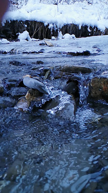 Photo 3 de Fraxern