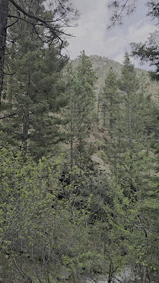 Photo 3 de Cheyenne Mountain