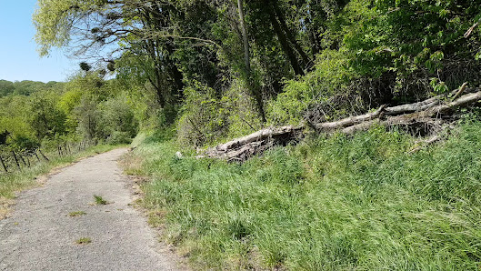 Photo 2 de Wehlenstein
