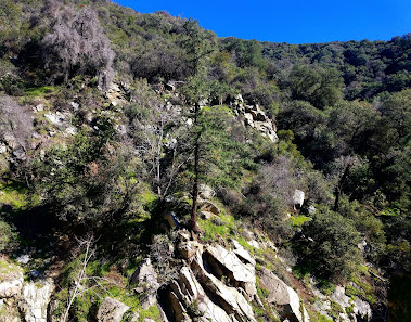 Photo 1 de Santa Anita Canyon