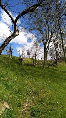 Photo 1 de Grimacco Superiore