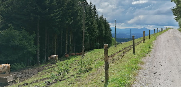 Photo 1 de Bozje
