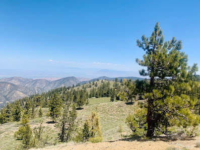 Photo 1 de Mount Pinos