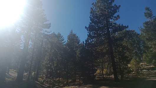 Photo 3 de Mount Pinos