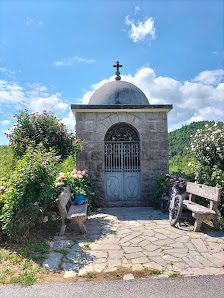 Photo 1 de Platischis