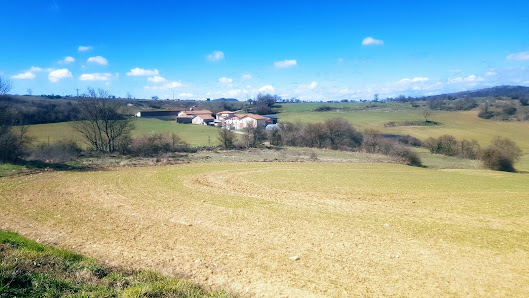 Photo 1 de Ibisate