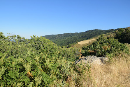 Photo 2 de Col Salidès