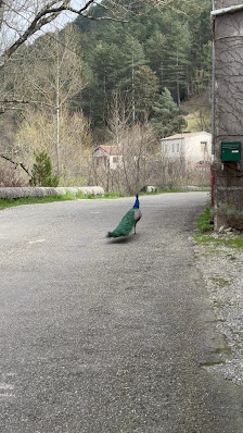Photo 3 de Montdardier