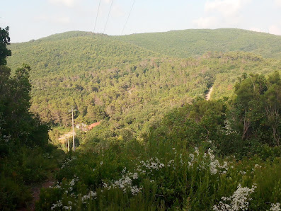 Photo 2 de Castellaccio