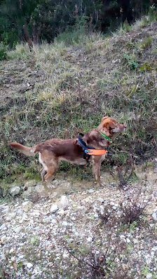 Photo 3 de Castellaccio