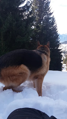 Photo 3 de Viktorsberg