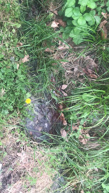 Photo 2 de Saint-Romain-de-Tousque