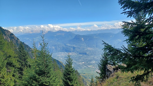 Photo 2 de Malga di Romeno
