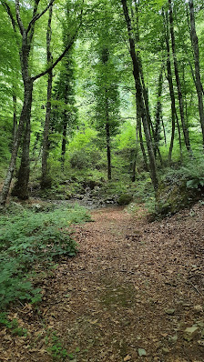 Photo 1 de Monte Mancuso