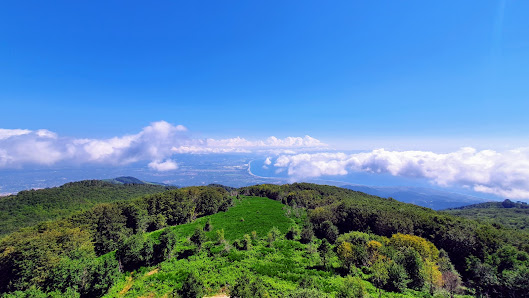 Photo 2 de Monte Mancuso