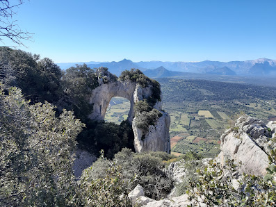 Photo 1 de Monte Tuttavista
