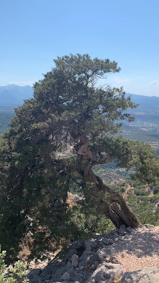 Photo 2 de Monte Tuttavista