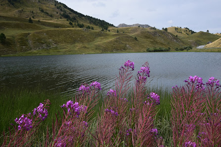 Photo 1 de Colle Maddalena