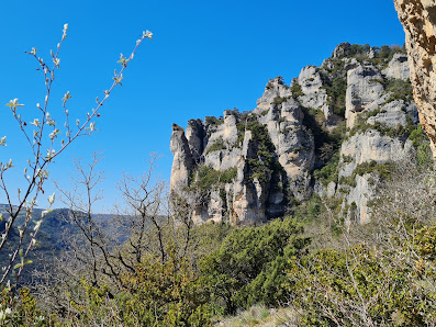 Photo 1 de Causse Noir (Millau)
