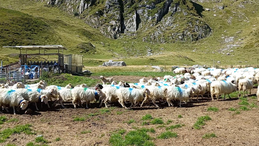 Photo 3 de Refuge de l'Abérouat