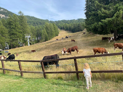 Photo 2 de Col de Joux