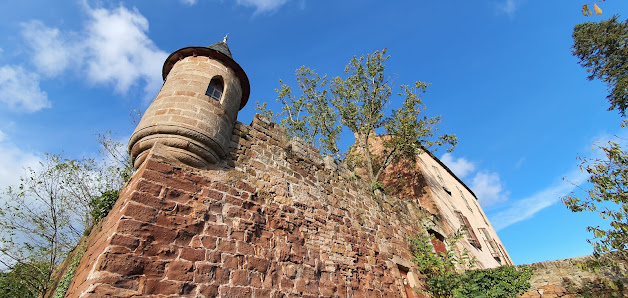 Photo 1 de Castelmus