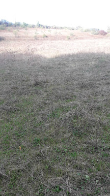 Photo 1 de Vers-sur-Méouge