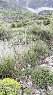 Photo 3 de Col de la Sinne