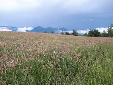 Photo 2 de Haut de Lemps