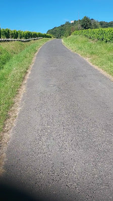 Photo 2 de Sancerre